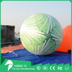 Up The Sky Chinese Cabbage Shape